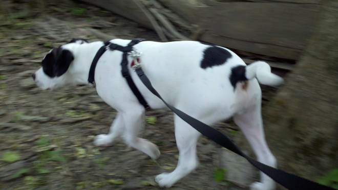 A Nod to Throwback Thursday