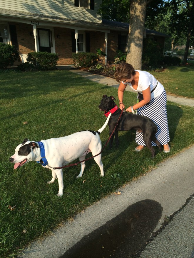 Playing around with the clips