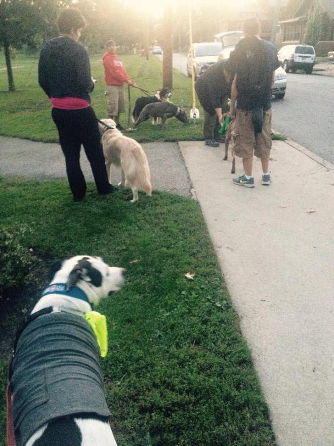 10314644_642246722559589_657082570706928542_n