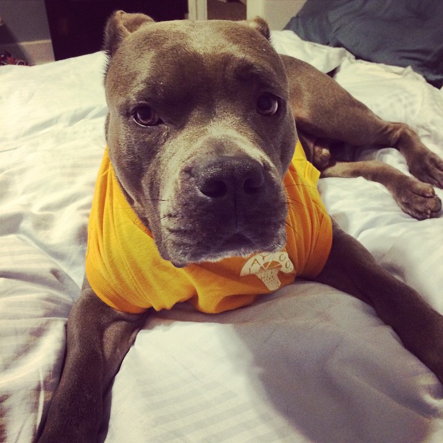 10369102_640385092590_5167150796102923288_n