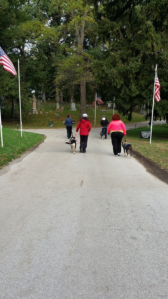 1453276_10204154523377764_5221489388668874432_n