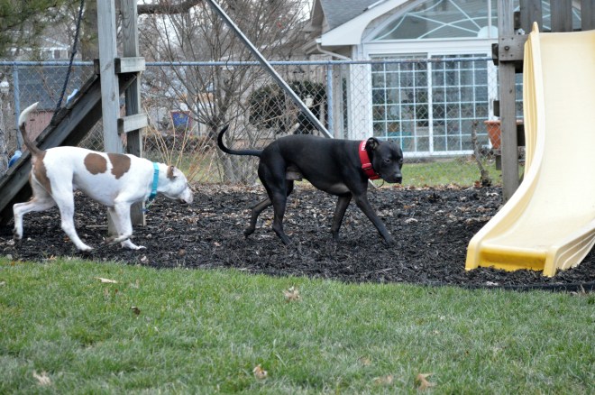 Getting to know you...