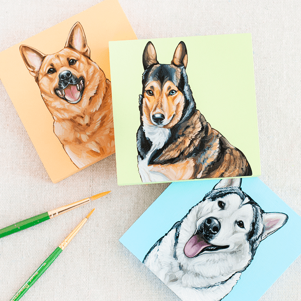 Image provided by Yellow Brick Home