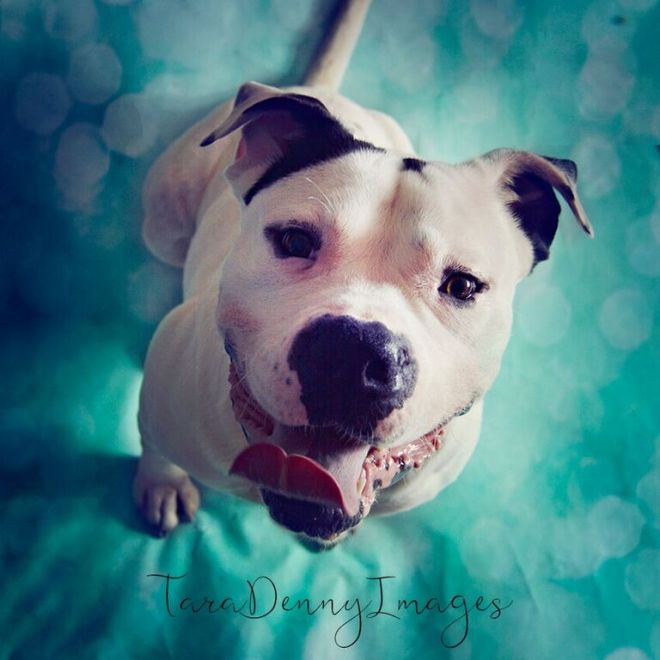 -3PDfU-RRRT6xbNy-aCa-jsXUKkJaANPxGe7-82HzdI