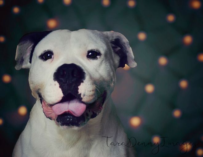 jmxw6yo6VGs3ZAXMThiqdisPf_3zXzvhizPAJV4tPI0