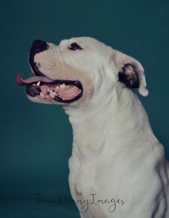 P7RbnFI58RSttV-Ju60_yvnesqJEET3nXqG48VrgzvY