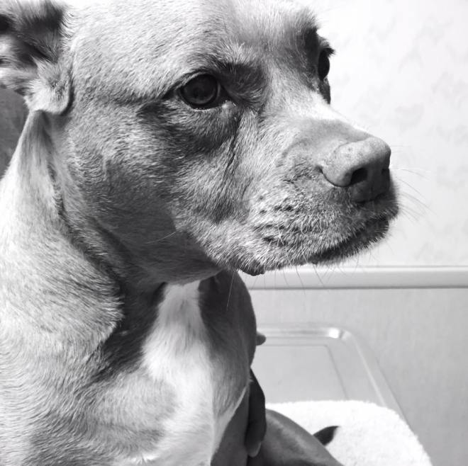 14233008_10210295509041261_6762136668116761673_n