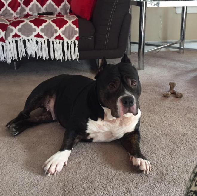 17499584_10212336743230840_12418318688837221_n