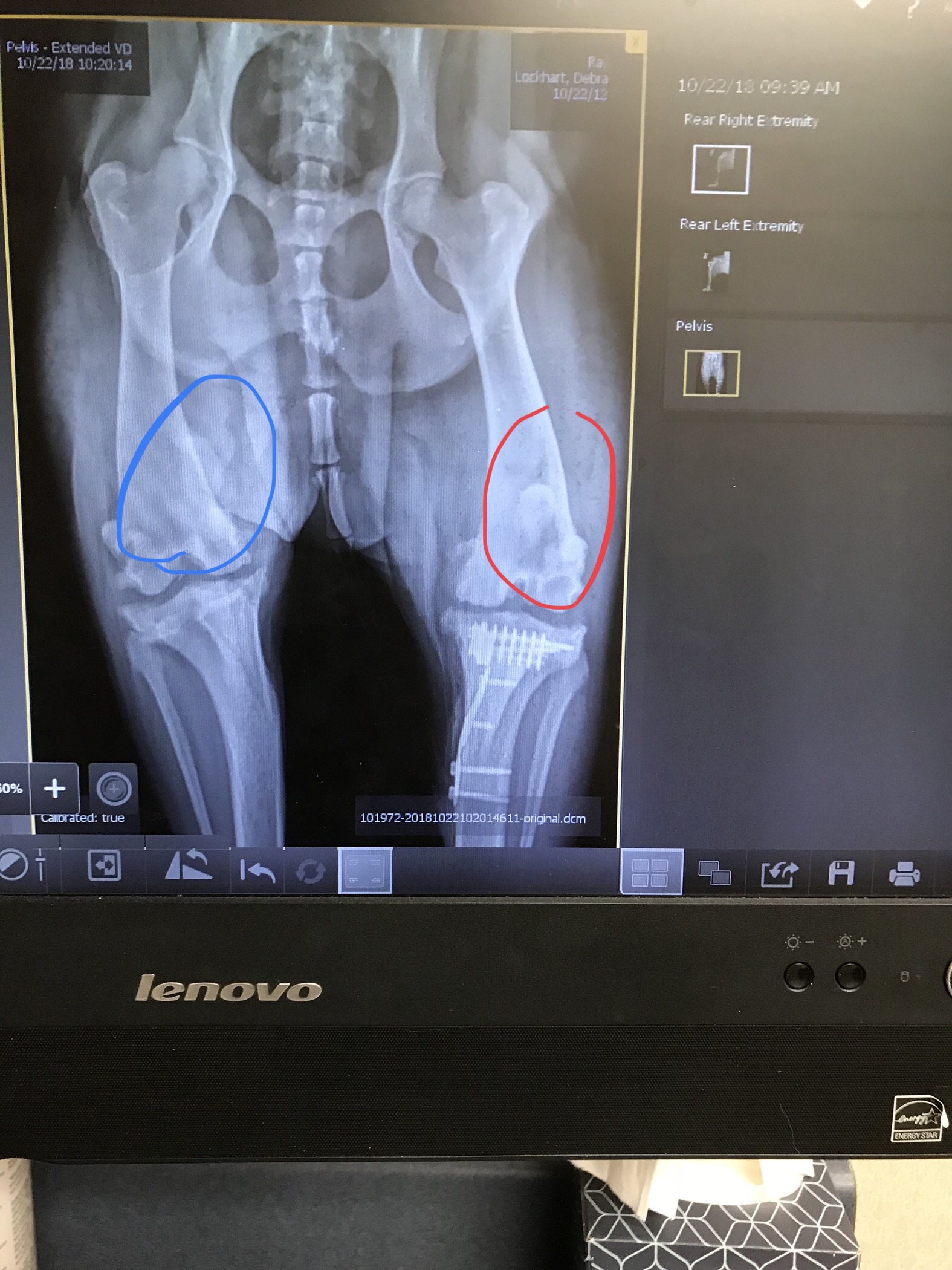 0DAB042B-3C24-4005-9C76-ECE3FDC5B0B4