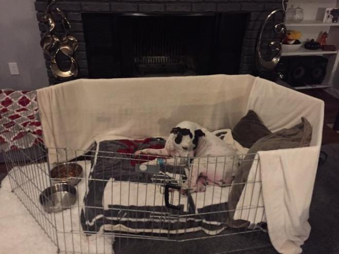 44597661_10217381256660523_7585723847526055936_n