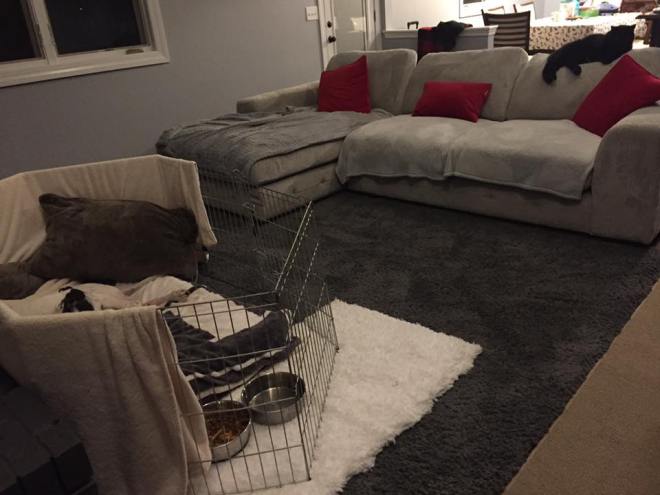 44613839_10217381257060533_7289032527535144960_n